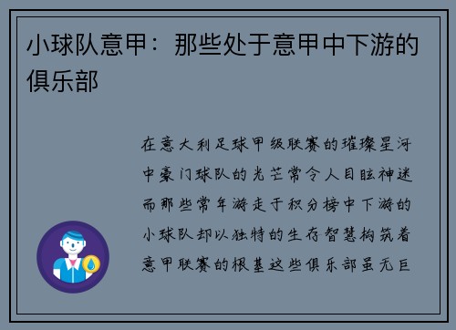 小球队意甲:那些处于意甲中下游的俱乐部