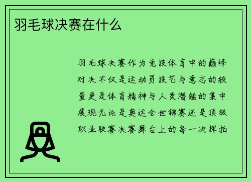 羽毛球决赛在什么